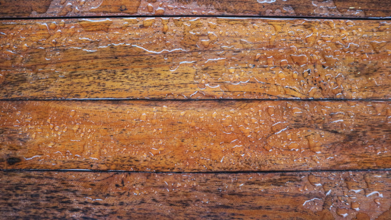 Wet wood soaking up water, displaying moisture in wood